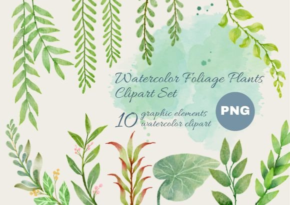 Download Watercolor Foliage Plants Clipart Set - Art Collection